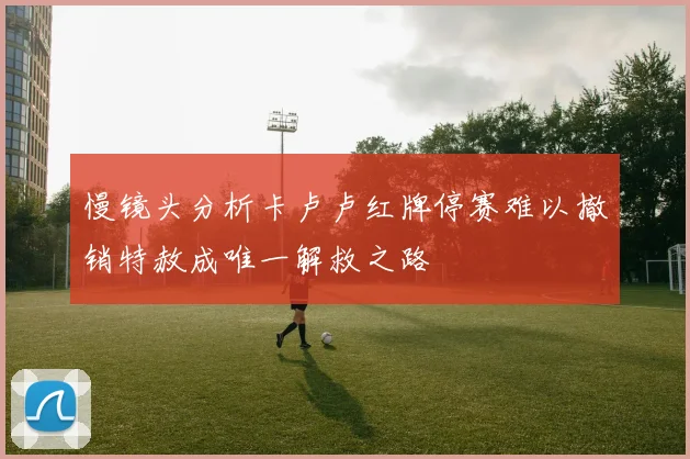 慢镜头分析卡卢卢红牌停赛难以撤销特赦成唯一解救之路